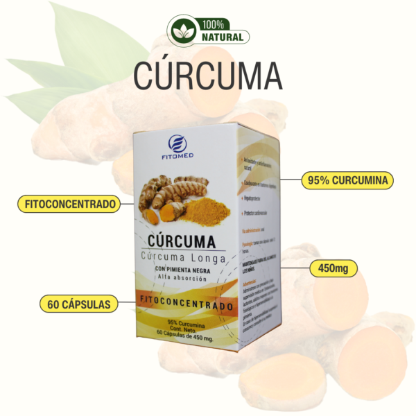 CÚRCUMA LONGA CON PIMIENTA NEGRA ALTA ABSORCIÓN