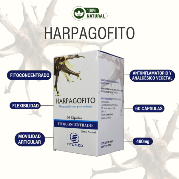 HARPAFOGITO