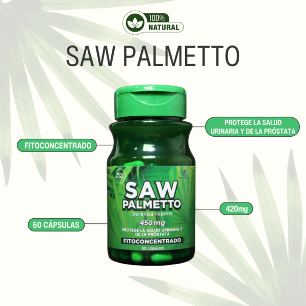 SAW PALMETTO